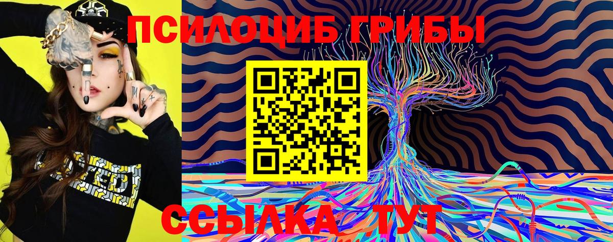 Псилоцибиновые грибы ЛСД Калач-на-Дону