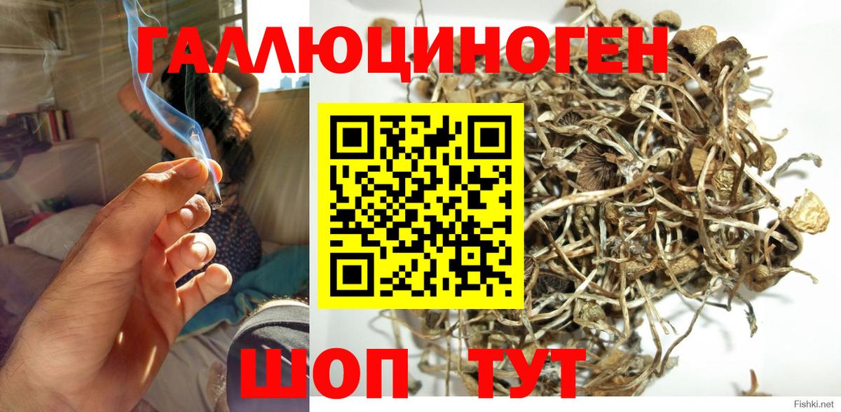 закладка  Псилоцибиновые грибы Magic Shrooms  Псилоцибиновые грибы MAGIC MUSHROOMS  Вход с VPN  Калач-на-Дону 